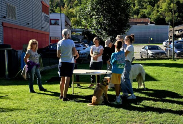 welche Nahrungsmittel sind ab welcher Menge giftig für den Hund...
